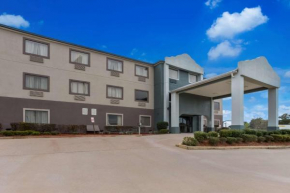 Quality Inn & Suites Pearl-Jackson
